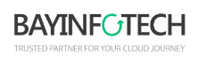 BayInfotech