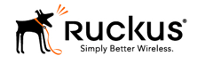 Ruckus Wireless